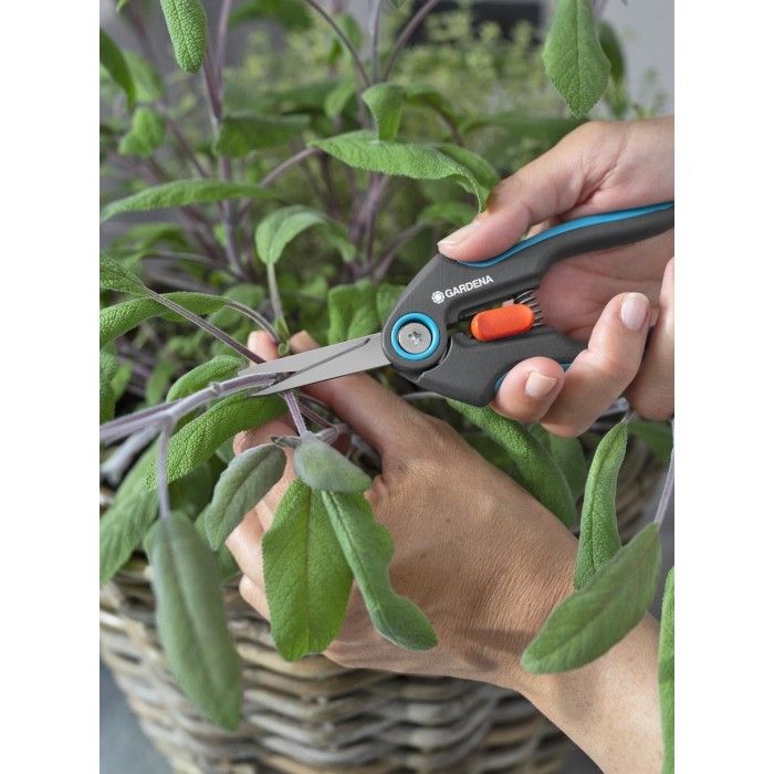 Ножницы для трав и цветов Gardena FreshCut Set (12212-36) фото 2