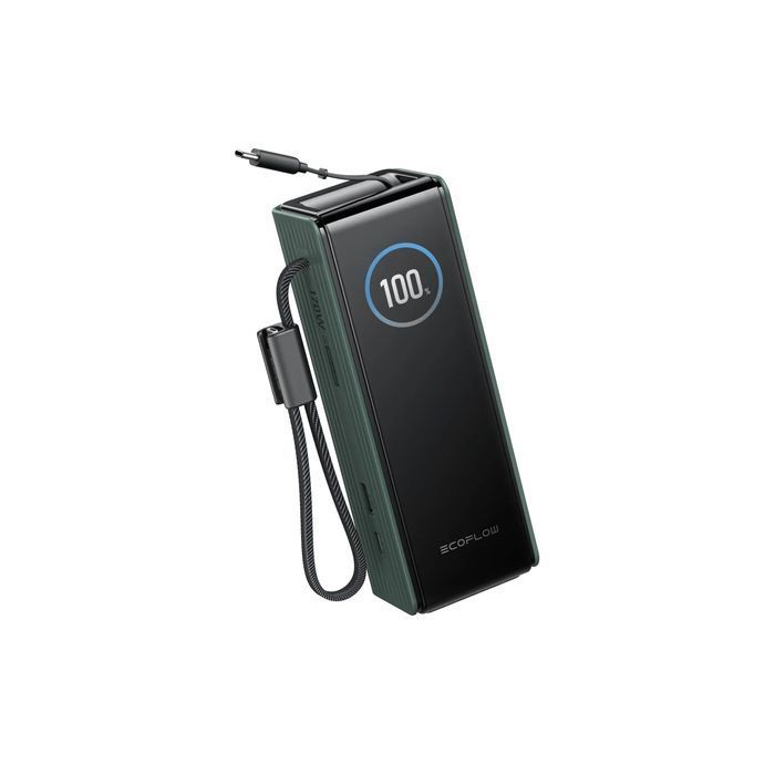 Павербанк EcoFlow RAPID Power Bank с кабелями 25000mAh зеленый фото 3