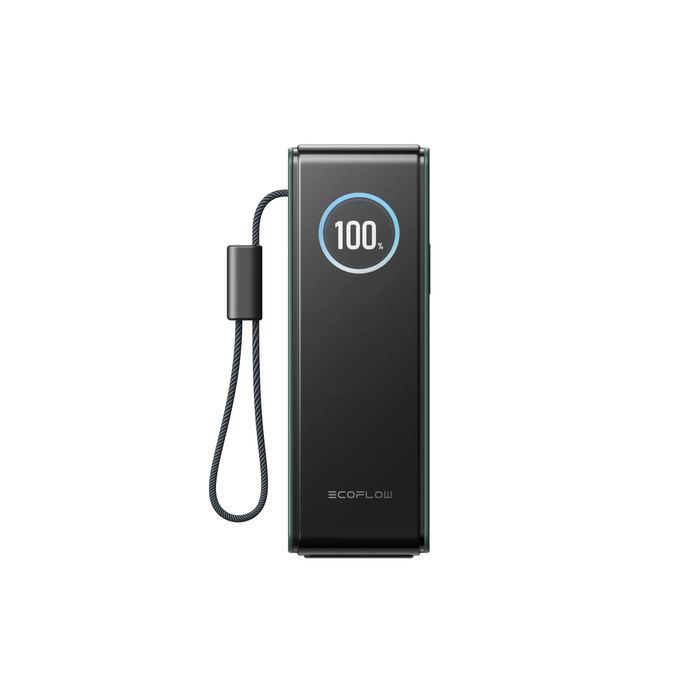 Павербанк EcoFlow RAPID Power Bank с кабелями 25000mAh зеленый фото 2