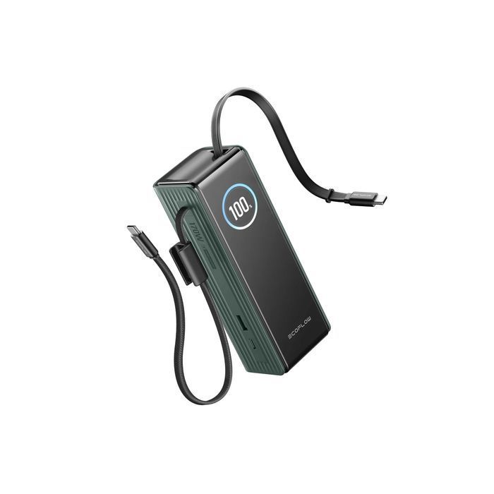 Павербанк EcoFlow RAPID Power Bank с кабелями 25000mAh зеленый фото 4