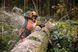 Бензопила Stihl MS 500i 11472000020