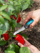 Нож Gardena VeggieCut для уборки урожая 12211-30