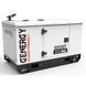 Генератор дизельный GENERGY GDS10T 8 кВт (ПОВРЕЖДЕННОЕ ЛФП)