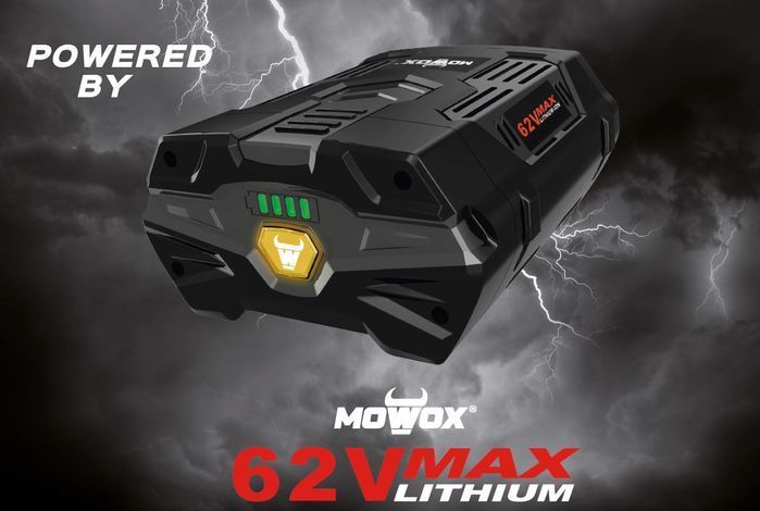 Акумулятор Mowox BA 534 62V 4.0Ah фото 2