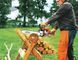 Бензопила STIHL MS 250 (11232000760)