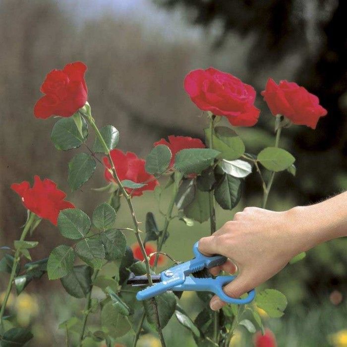 Ножницы для роз Gardena 4-в-1 (00359-20) фото 2