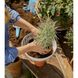 Чаша для растений Gardena ClickUp! 25 см (11320-20)