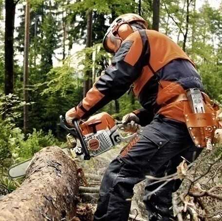 Ремонт бензопил Stihl