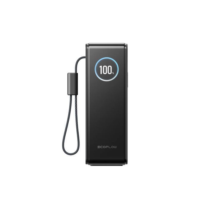 Павербанк EcoFlow RAPID Power Bank з кабелями 25000mAh сріблястий фото 2