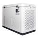 Газовый генератор EnerSol ENNG-17000TATS (ENNG-17000TATS)