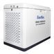 Газовый генератор EnerSol ENNG-17000TATS (ENNG-17000TATS)