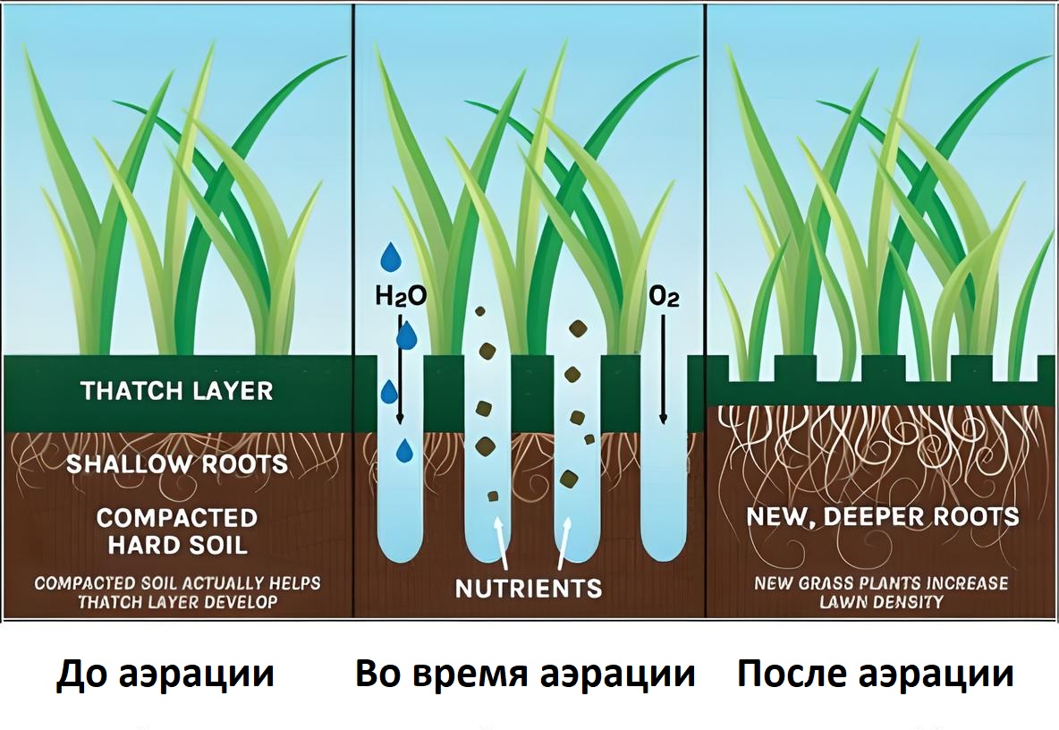 Аэрация газона