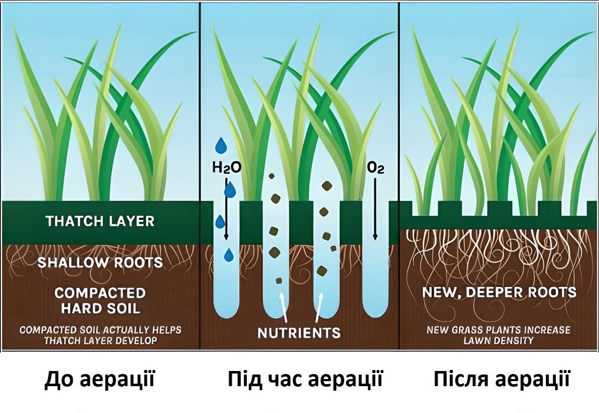 Аерація газону